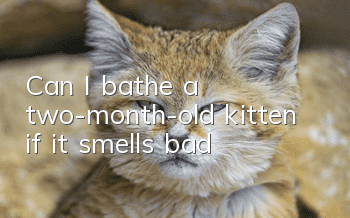 Can I bathe a two-month-old kitten if it smells bad?