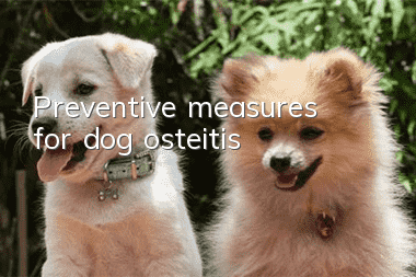 Preventive measures for dog osteitis