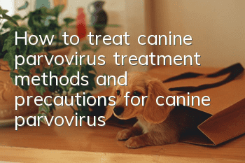How to treat canine parvovirus, treatment methods and precautions for canine parvovirus!