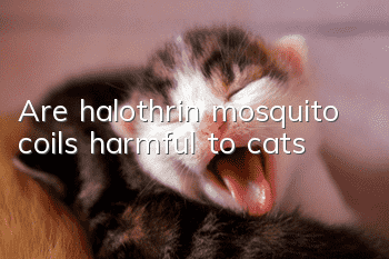 Are halothrin mosquito coils harmful to cats?