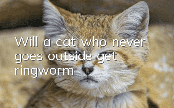 Will a cat who never goes outside get ringworm?