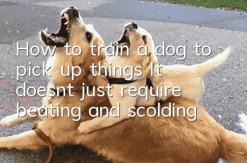 How to train a dog to pick up things? It doesn’t just require beating and scolding!