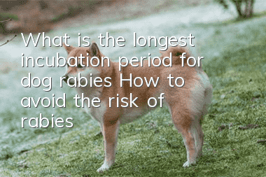 What is the longest incubation period for dog rabies? How to avoid the risk of rabies?