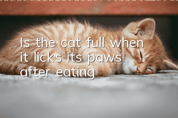 Is the cat full when it licks its paws after eating?