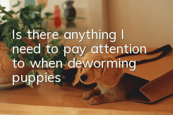Is there anything I need to pay attention to when deworming puppies?