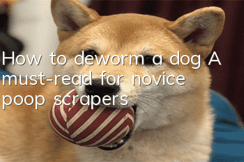How to deworm a dog? A must-read for novice poop scrapers!
