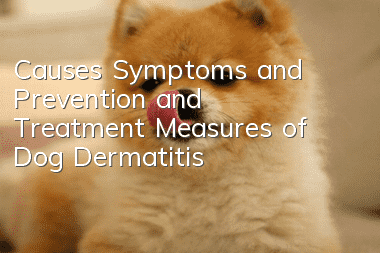 Causes, Symptoms and Prevention and Treatment Measures of Dog Dermatitis