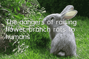 The dangers of raising flower-branch rats to humans