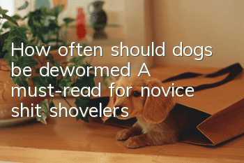 How often should dogs be dewormed? A must-read for novice shit shovelers