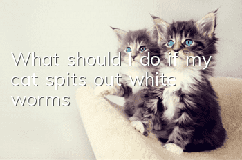 What should I do if my cat spits out white worms?