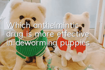 Which anthelmintic drug is more effective in deworming puppies?