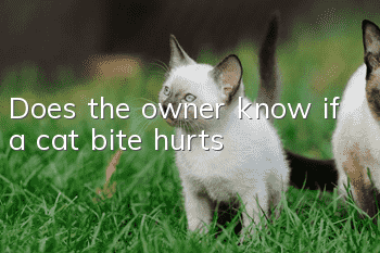Does the owner know if a cat bite hurts?