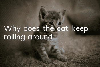 Why does the cat keep rolling around?