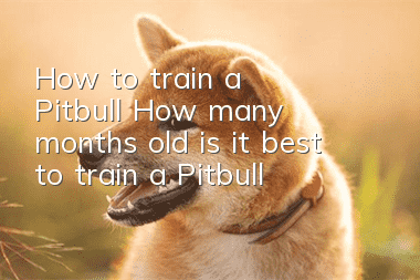 How to train a Pitbull? How many months old is it best to train a Pitbull?