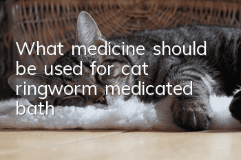 What medicine should be used for cat ringworm medicated bath?