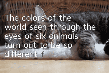 The colors of the world seen through the eyes of six animals turn out to be so different from those of humans