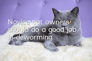 Novice cat owners should do a good job in deworming