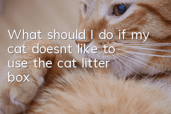 What should I do if my cat doesn’t like to use the cat litter box?