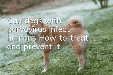 Can dogs with parvovirus infect humans? How to treat and prevent it?