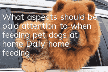What aspects should be paid attention to when feeding pet dogs at home? Daily home feeding of pet dogs!
