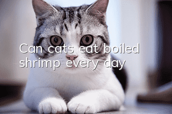 Can cats eat boiled shrimp every day?
