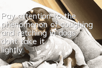 Pay attention to the phenomenon of coughing and retching in dogs, don’t take it lightly!