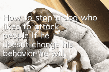 How to stop a dog who likes to attack people? If he doesn’t change his behavior, he will be in trouble when he grows up!