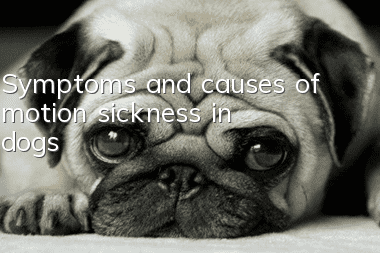 Symptoms and causes of motion sickness in dogs