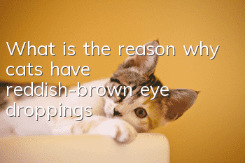 What is the reason why cats have reddish-brown eye droppings?