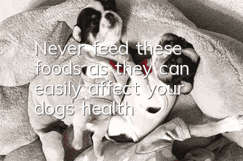 Never feed these foods, as they can easily affect your dog’s health!