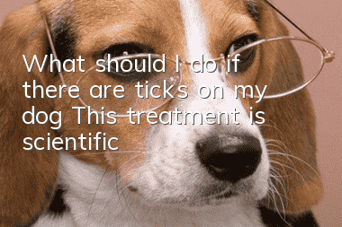 What should I do if there are ticks on my dog? This treatment is scientific!