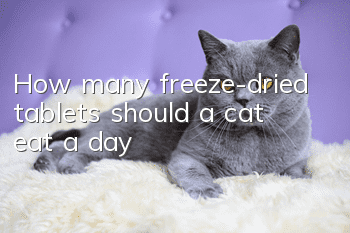 How many freeze-dried tablets should a cat eat a day?