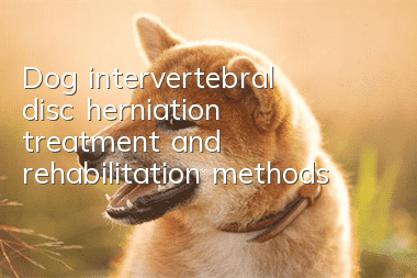 Dog intervertebral disc herniation treatment and rehabilitation methods