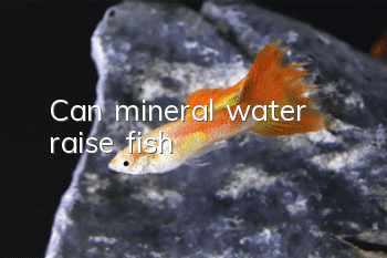 Can mineral water raise fish?