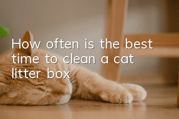 How often is the best time to clean a cat litter box?