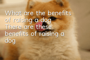 What are the benefits of raising a dog? There are these benefits of raising a dog!