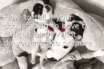 How to tell if your dog is going to have a difficult birth? What do you need to prepare before delivering your dog?
